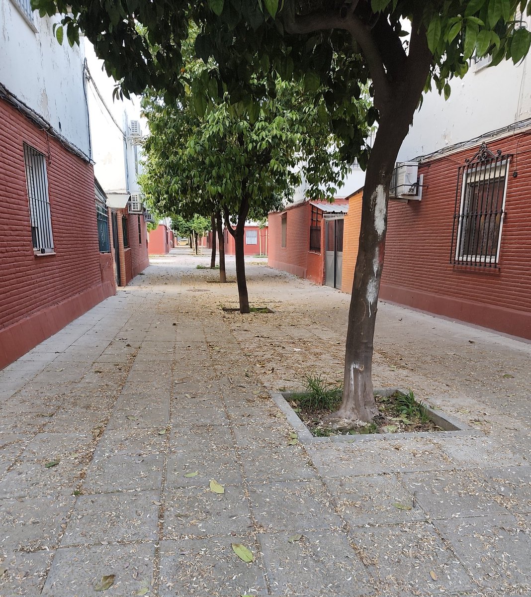 LUCHA X TUS DERECHOS tweet media