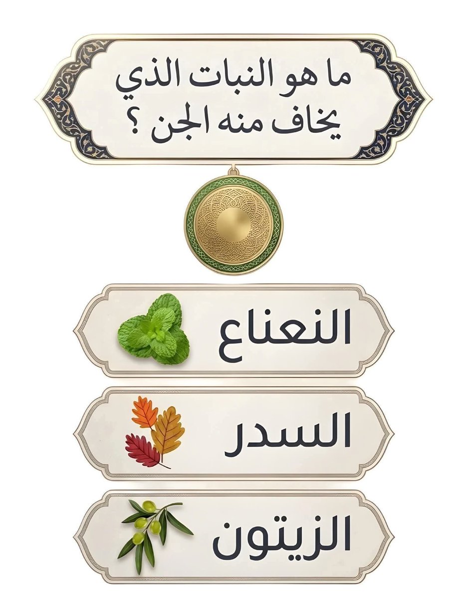 سلمى نور tweet media