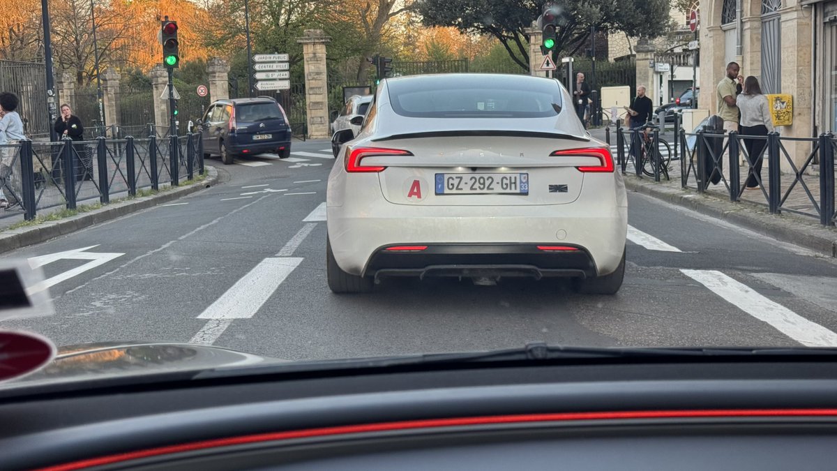 TeslaStars✨ tweet media