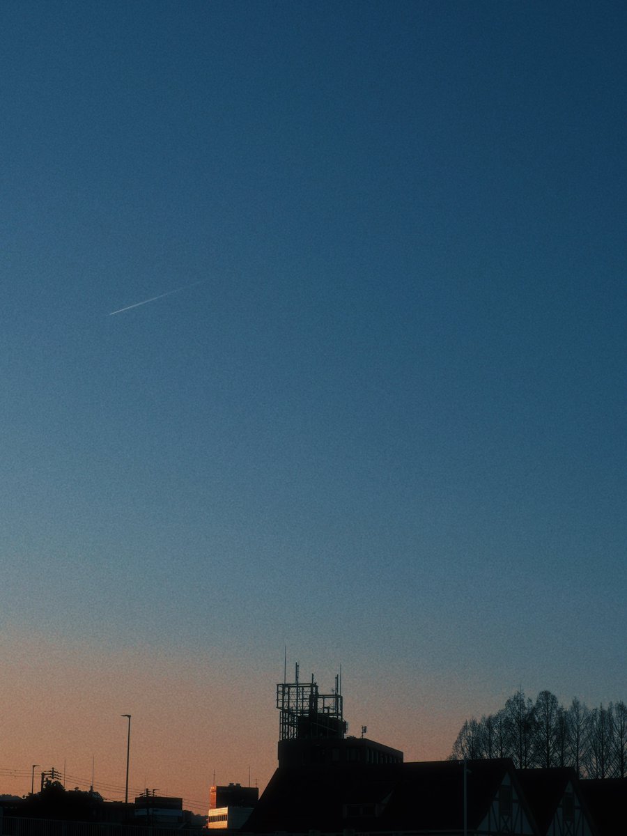 ᴍᴏᴏɴʟʏ tweet media