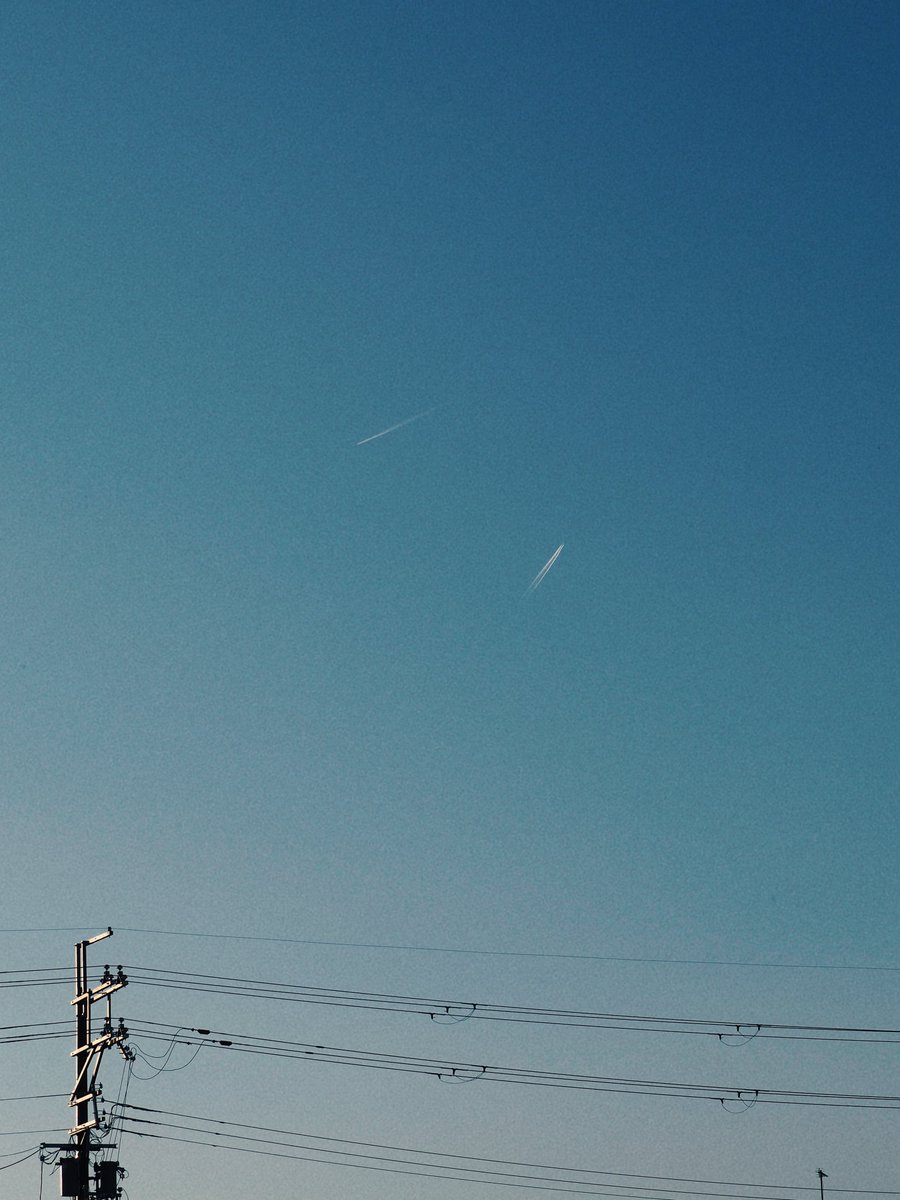 ᴍᴏᴏɴʟʏ tweet media