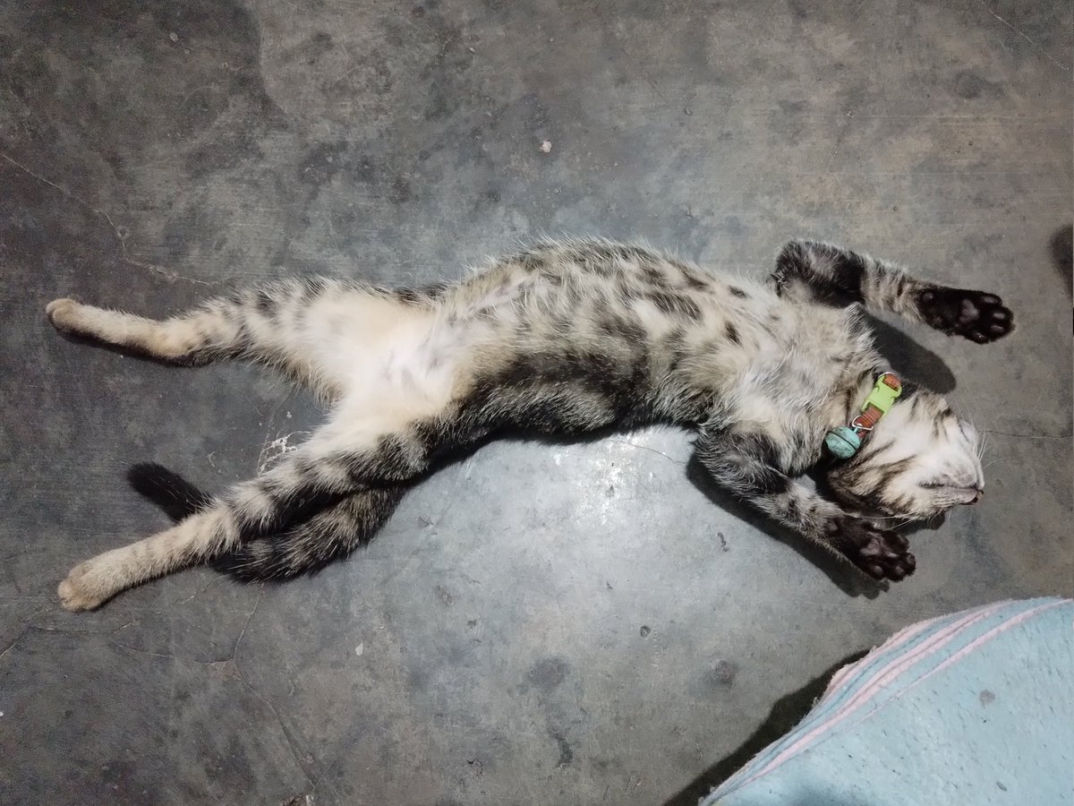 is mine 🍉🍀 tweet media