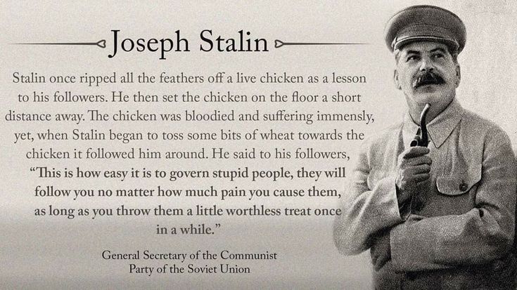 @templer_rising tweet media