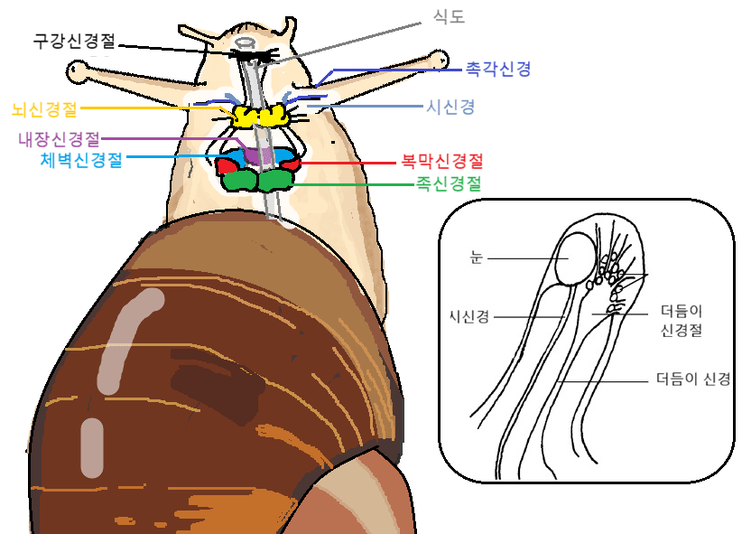 ii52 촉촉 좋아🐌🐚❤️ tweet media