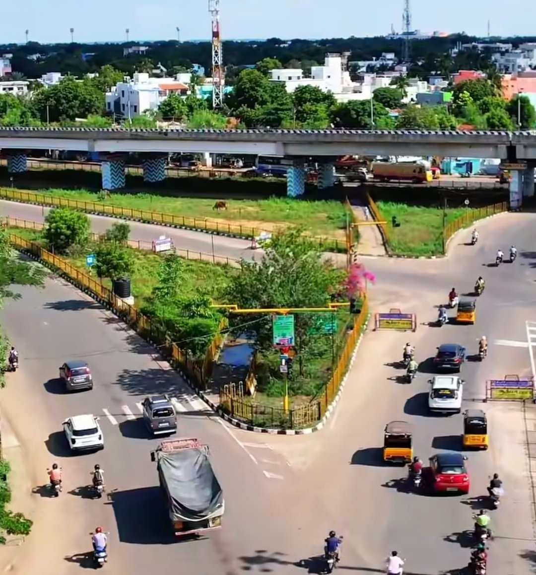 Trichiites tweet media