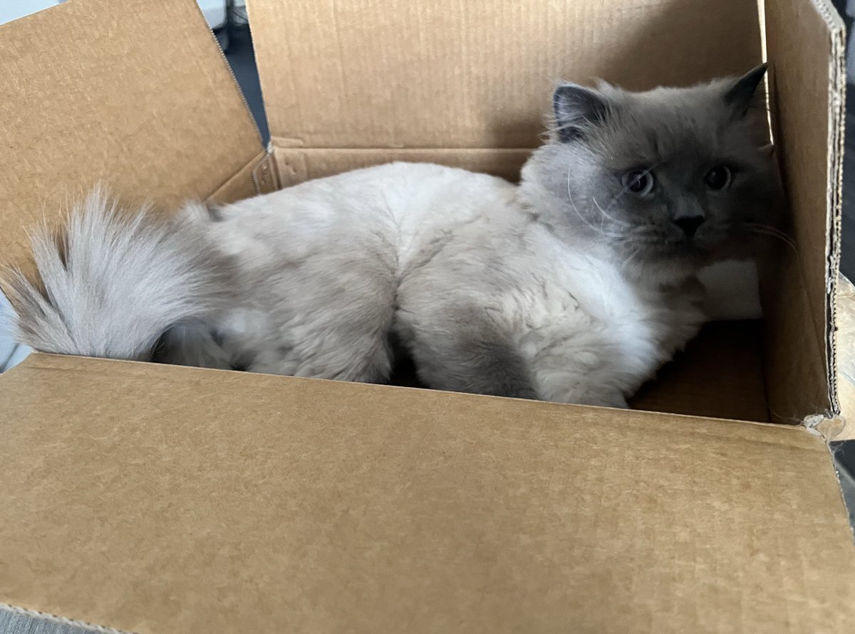 يـآد 🌻 tweet media