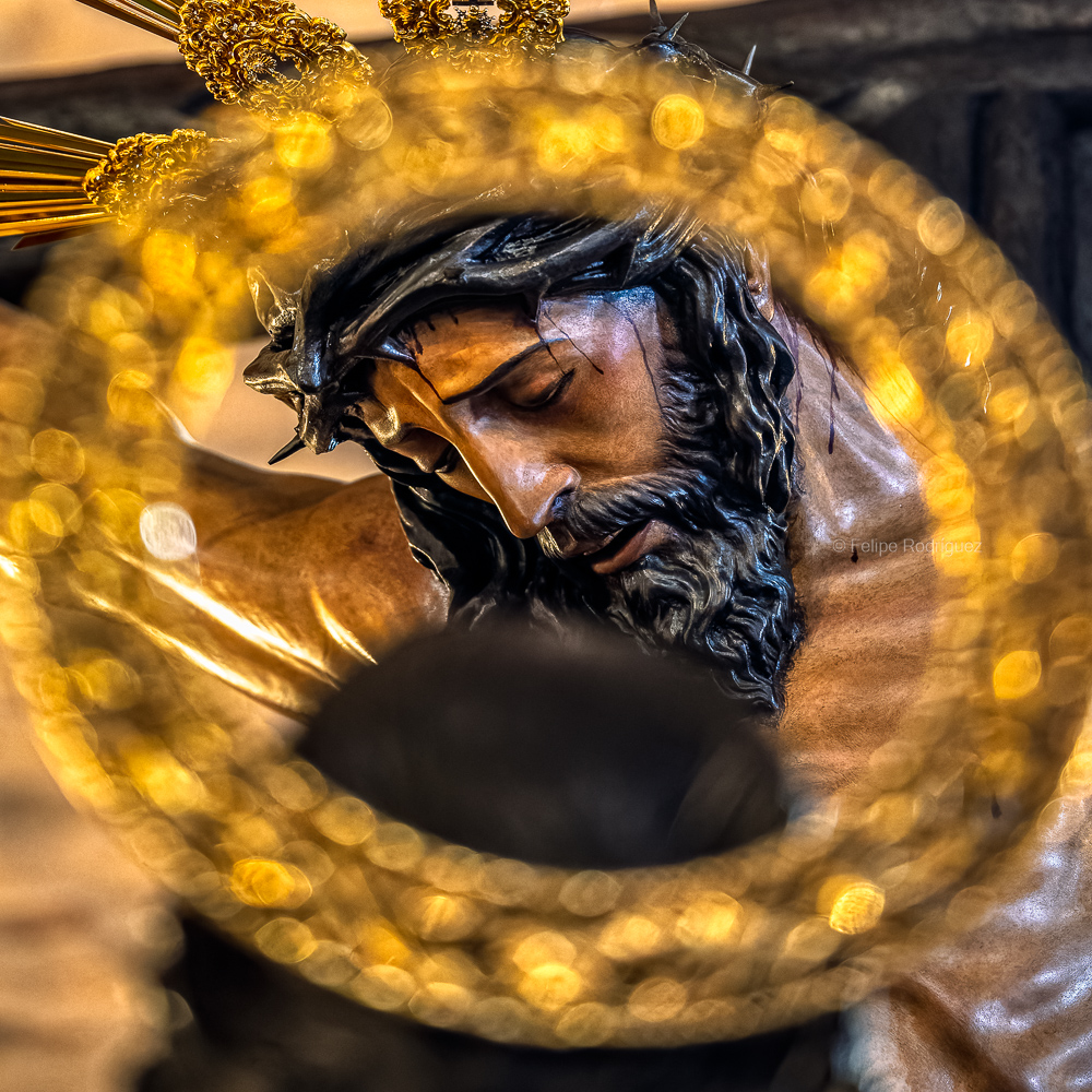 Felipe Rodríguez tweet media