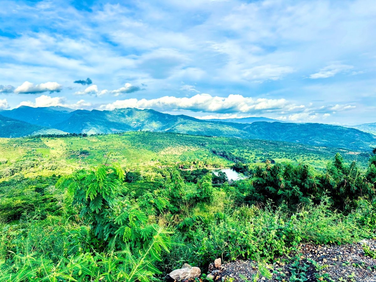 Guillermo 🧝🏽‍♂️ tweet media