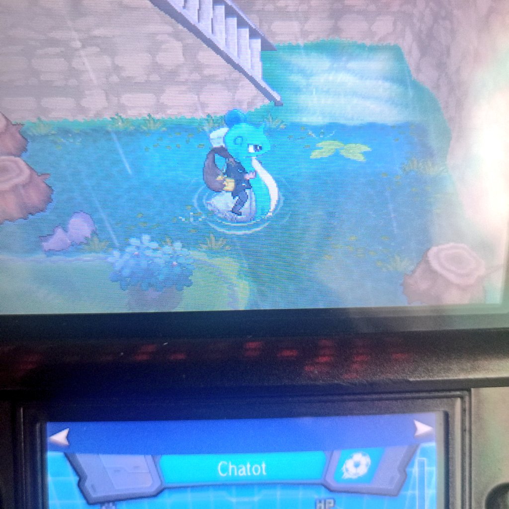 Nomi🦄 ✨ tweet media