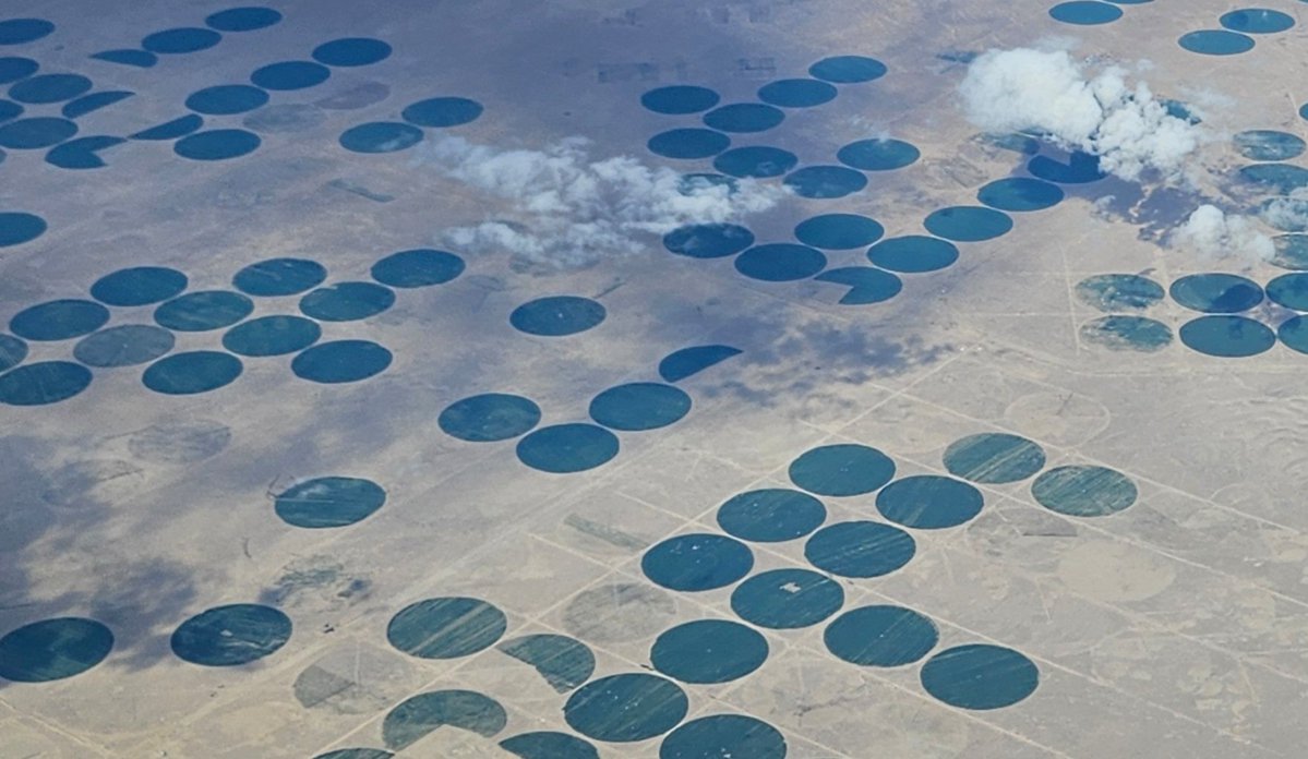 A Pilot's View tweet media