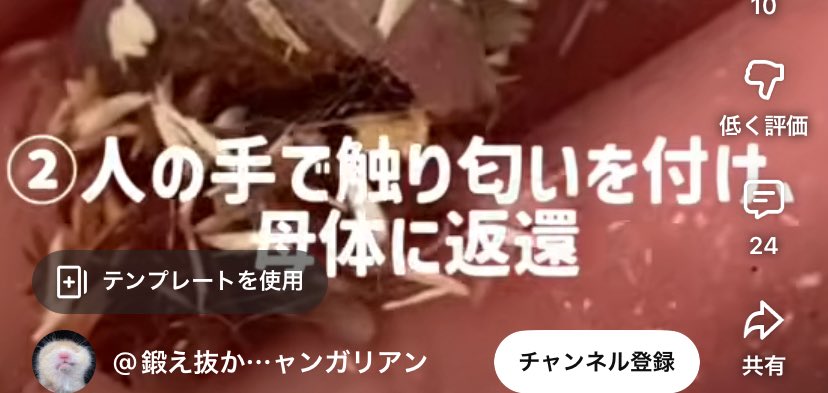 バズ速(仮) tweet media