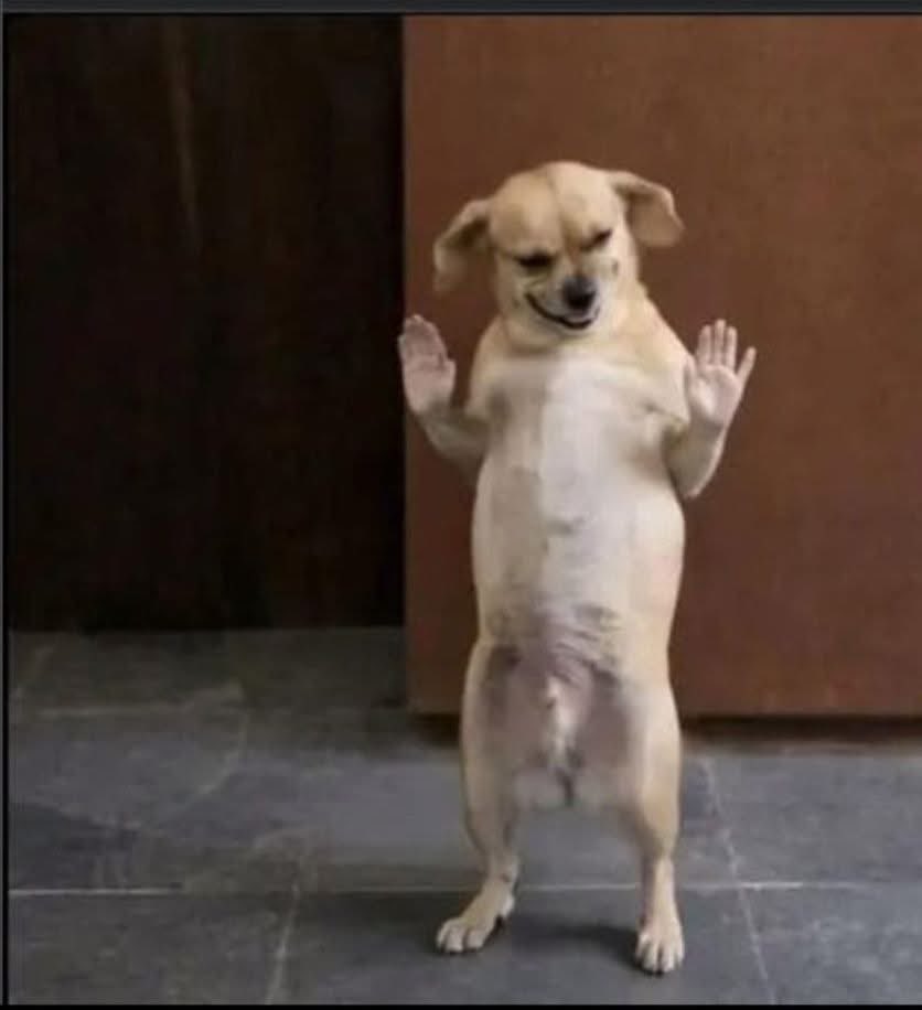 Nkem Favour💋 tweet media