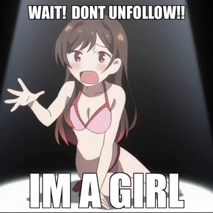 WillowTheFoxΘΔ🏳️⚧️🐾Pawbz are cute!🐾 tweet media