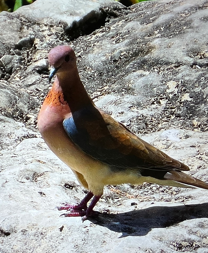 ممدوح tweet media