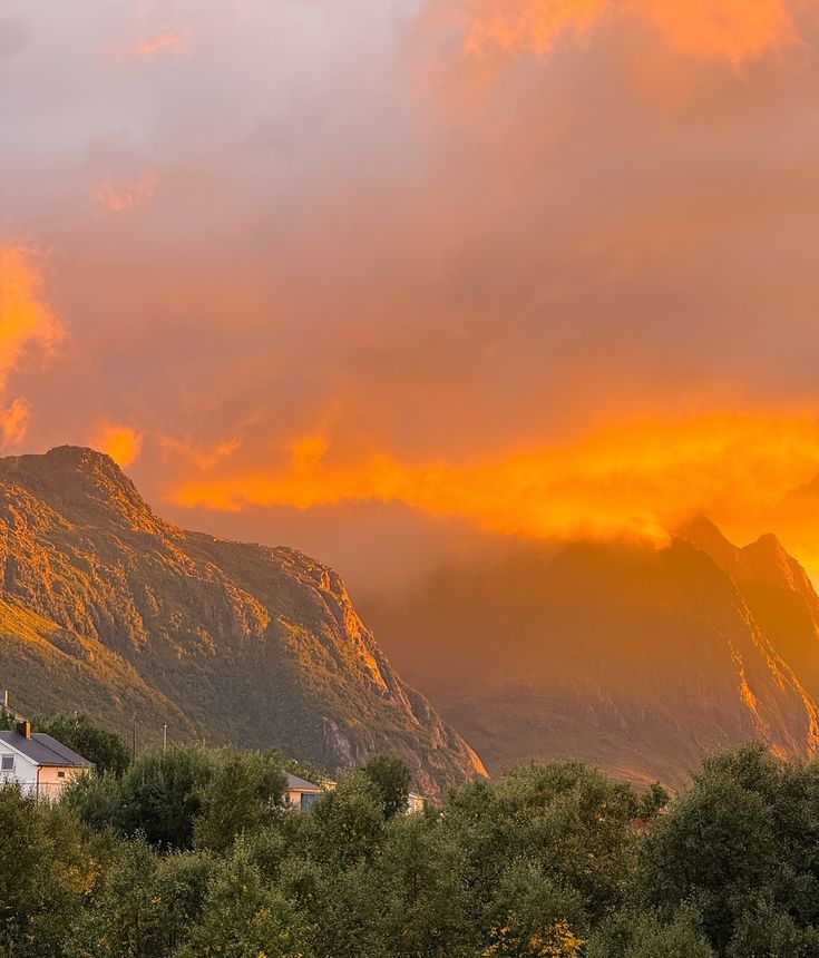 birterapi tweet media