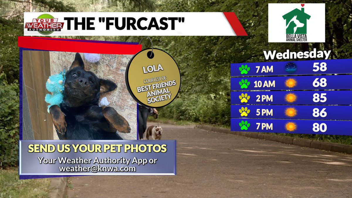 Josh Rugger tweet media