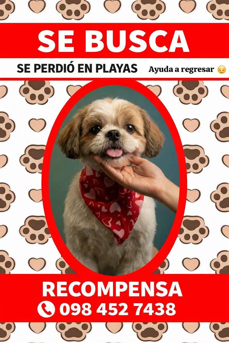 Emergencias Ec tweet media