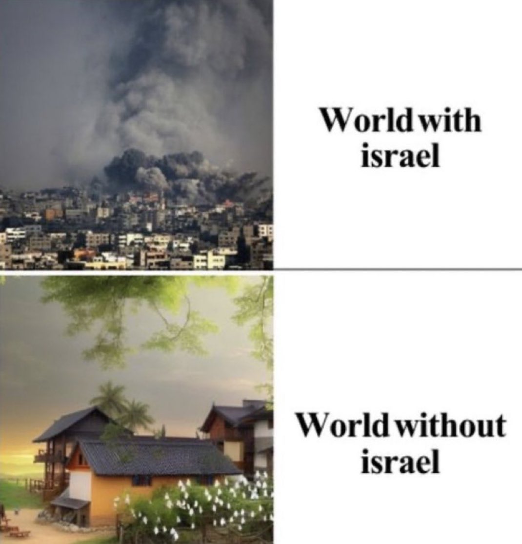 Nadira Ali🇵🇸 tweet media