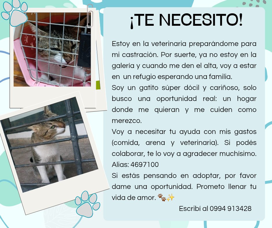 Natalia Ginzo tweet media