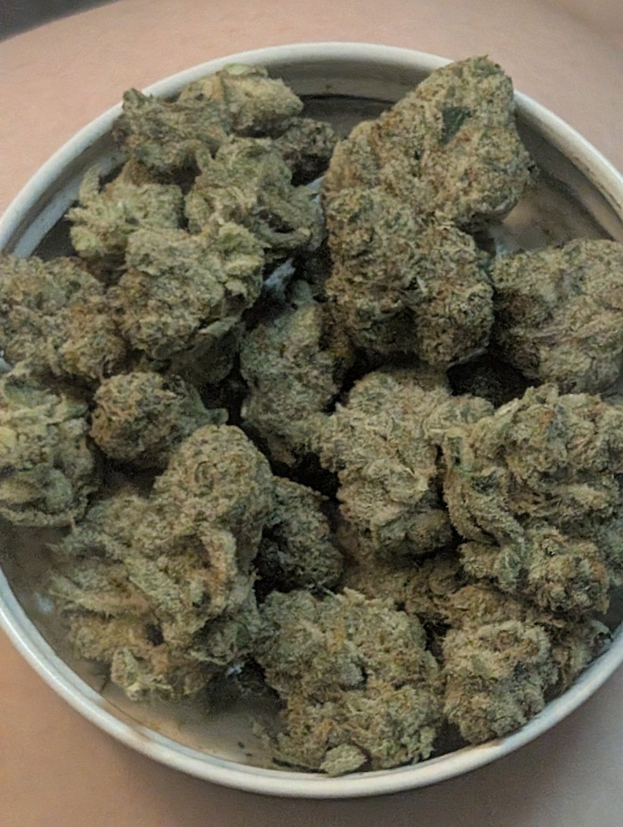 Anne the stoner babe 🍃🍯 tweet media