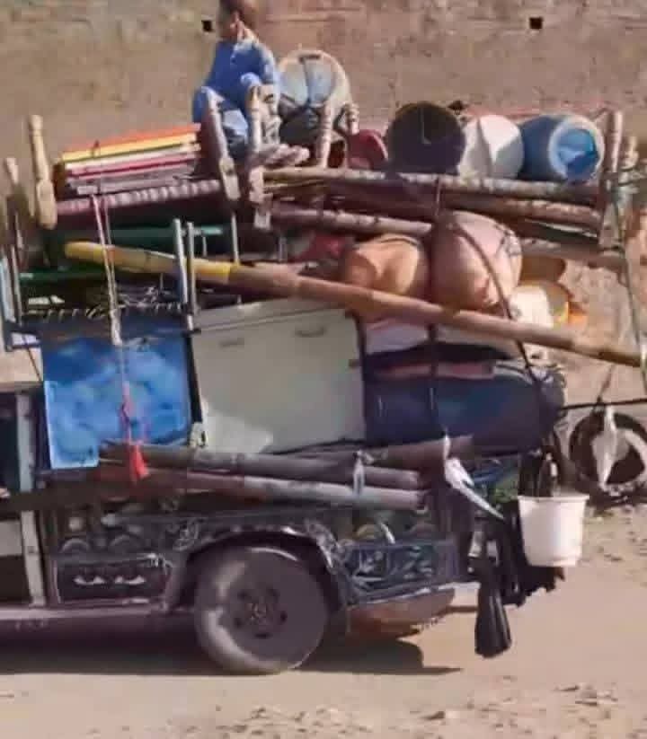 Farzana Ali tweet media