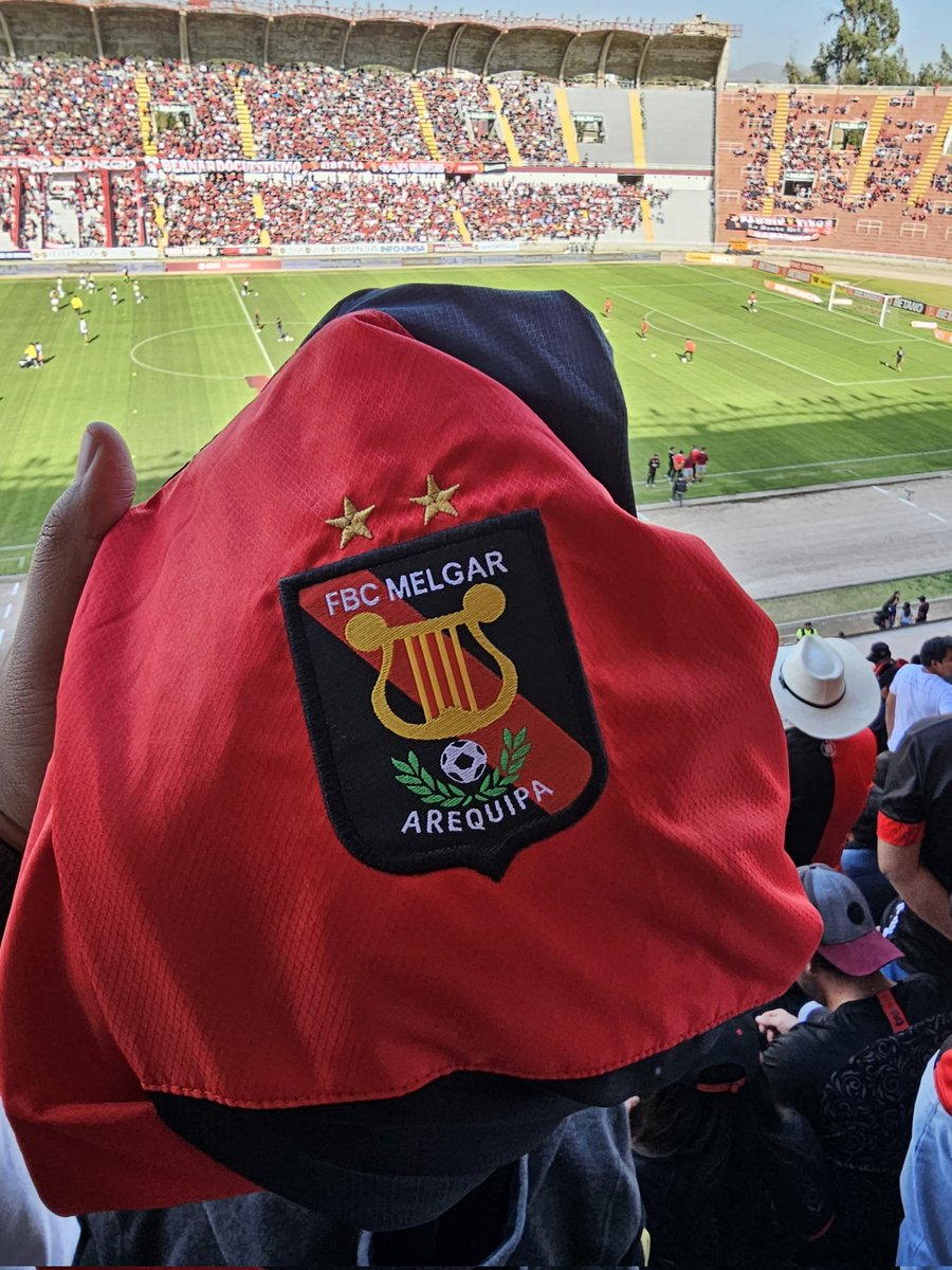 Rocoto Dominó tweet media