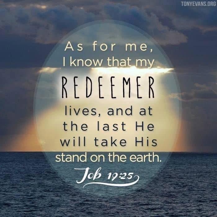 🌸Shannon🌸 tweet media