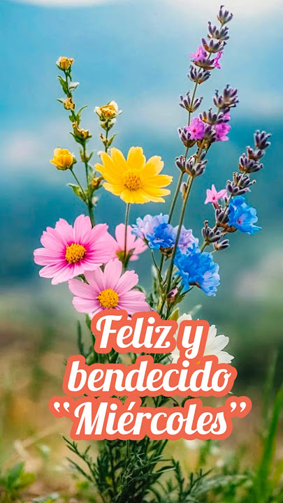 Juan Palma tweet media