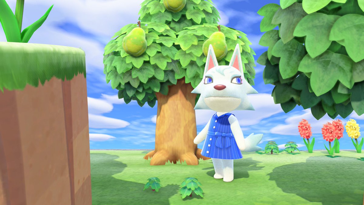 ほこｻﾝ。 tweet media