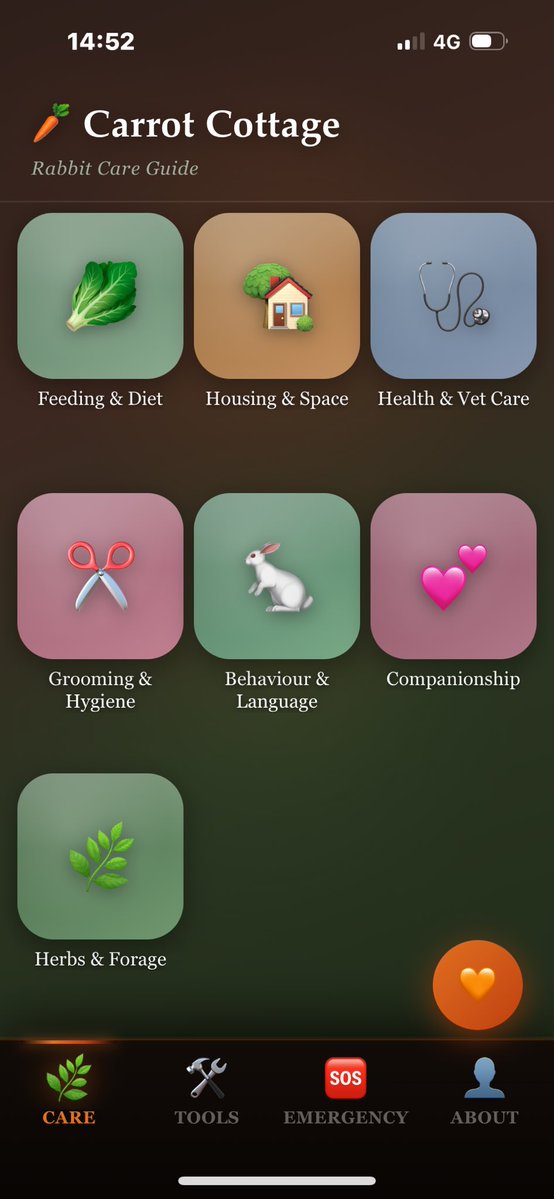 Carrot Cottage Rabbit Rescue tweet media