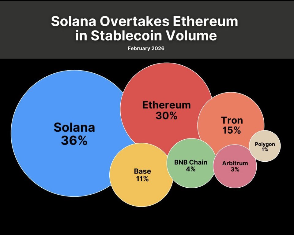 Stablecoin Movement tweet media