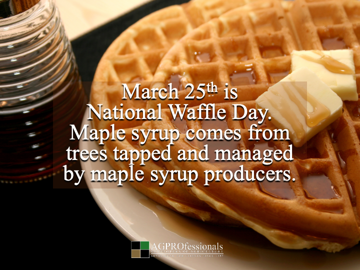 AGPRealEstate's tweet image. 🧇 A classic meal powered by farmers and ranchers.
#NationalWaffleDay #Agriculture #AgProud