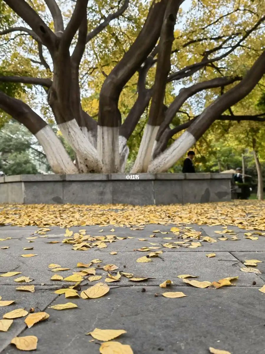 eren kartal tweet media