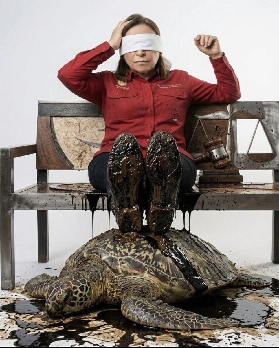 juan c ortega tweet media