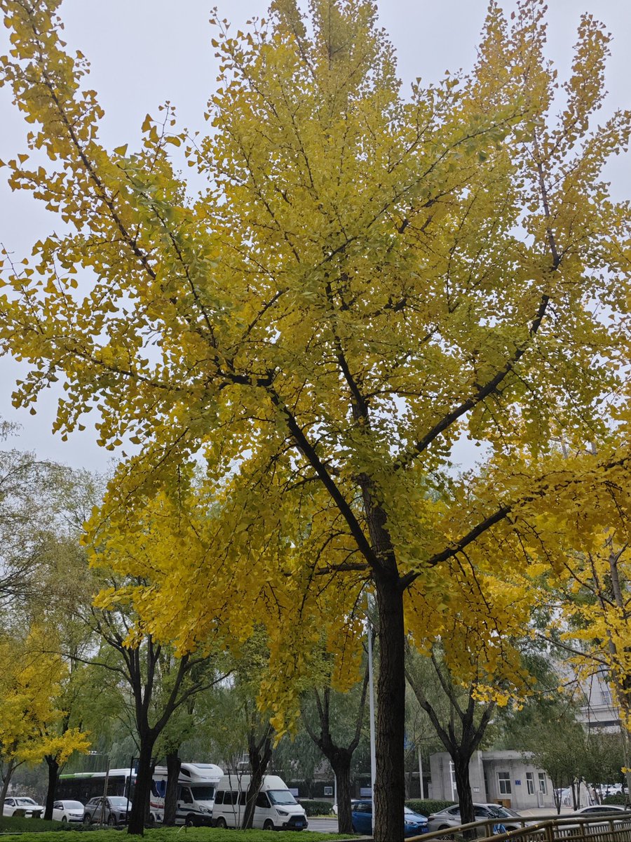 Colby Jacobson tweet media