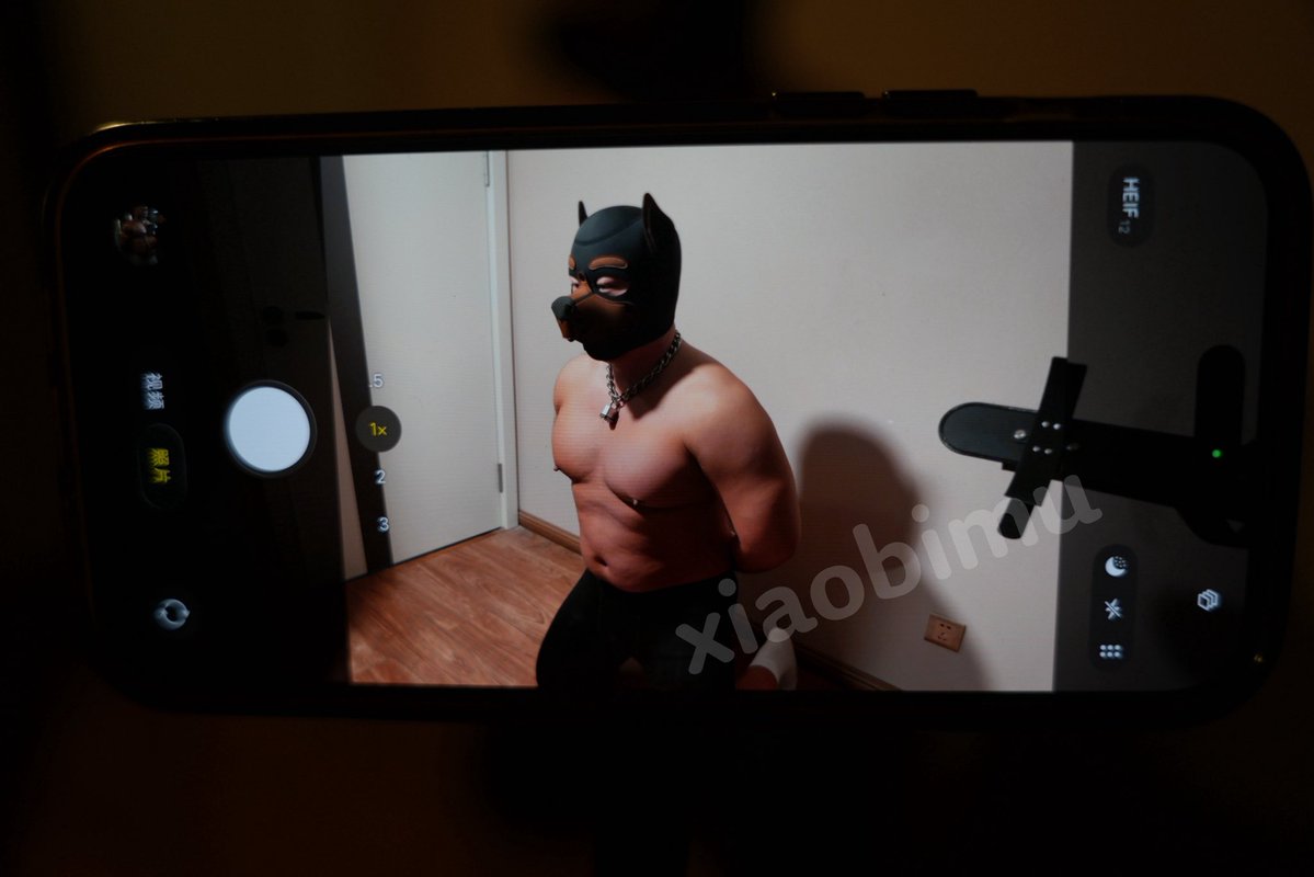 修比目 tweet media