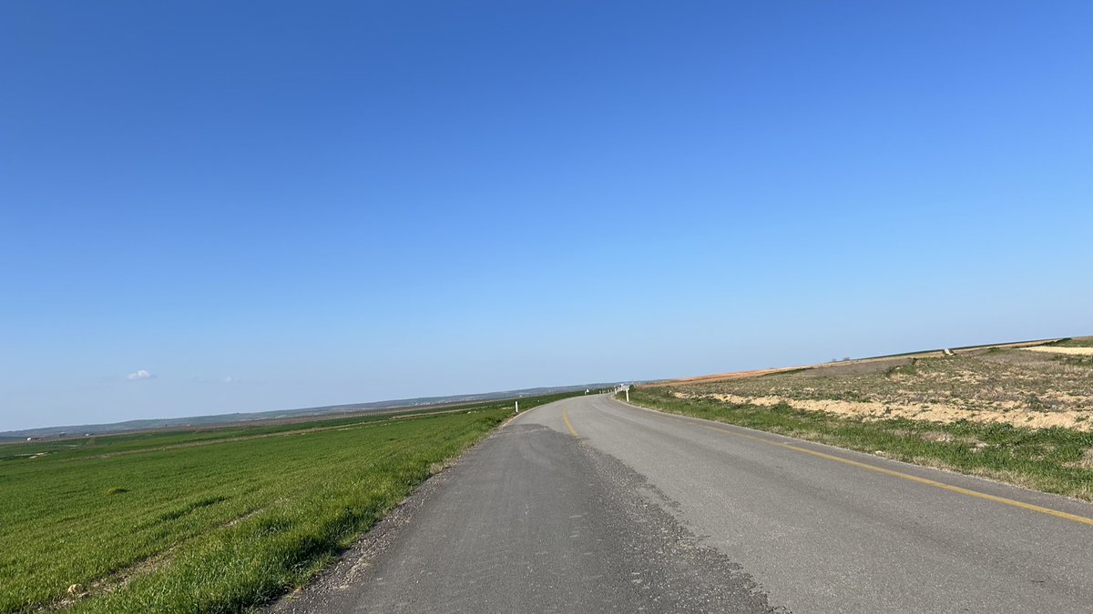 birliman tweet media