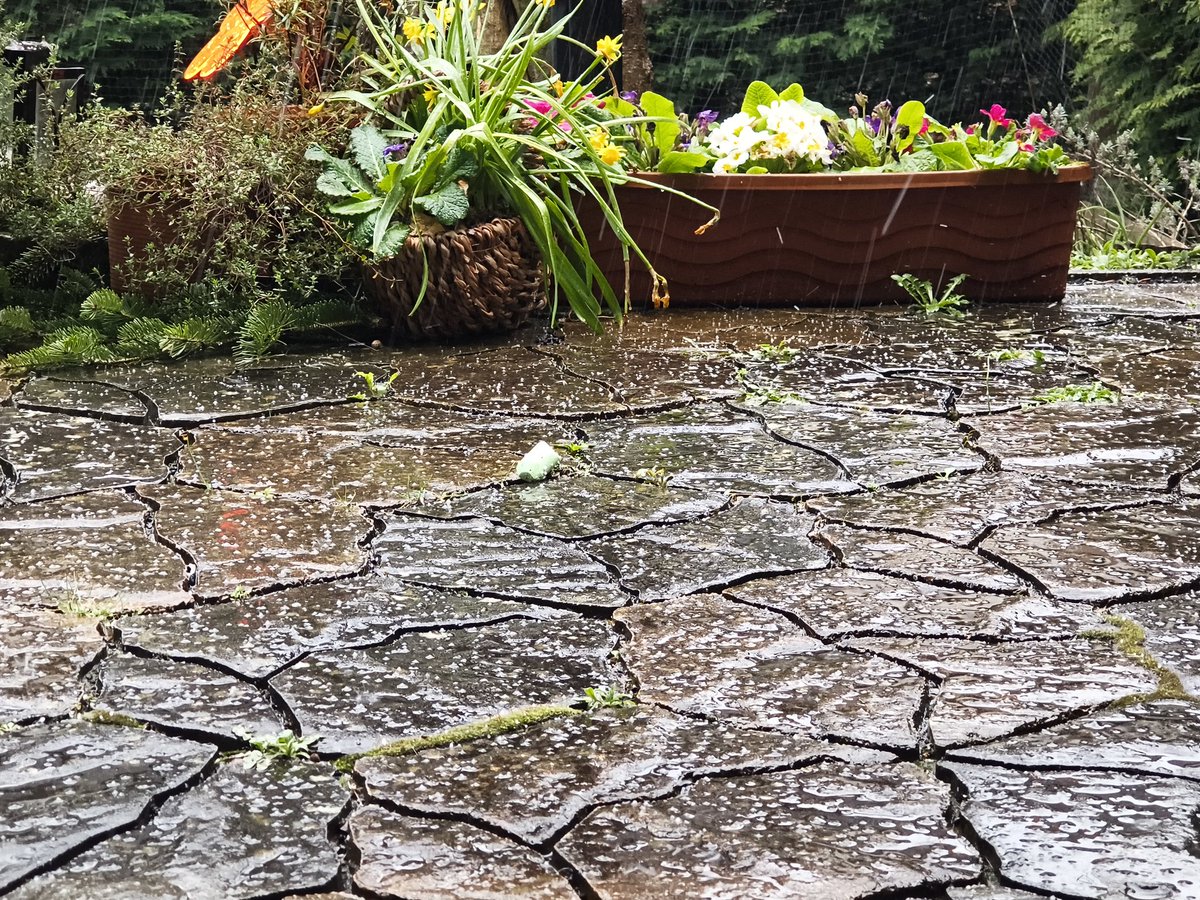 CatWithGeologists tweet media