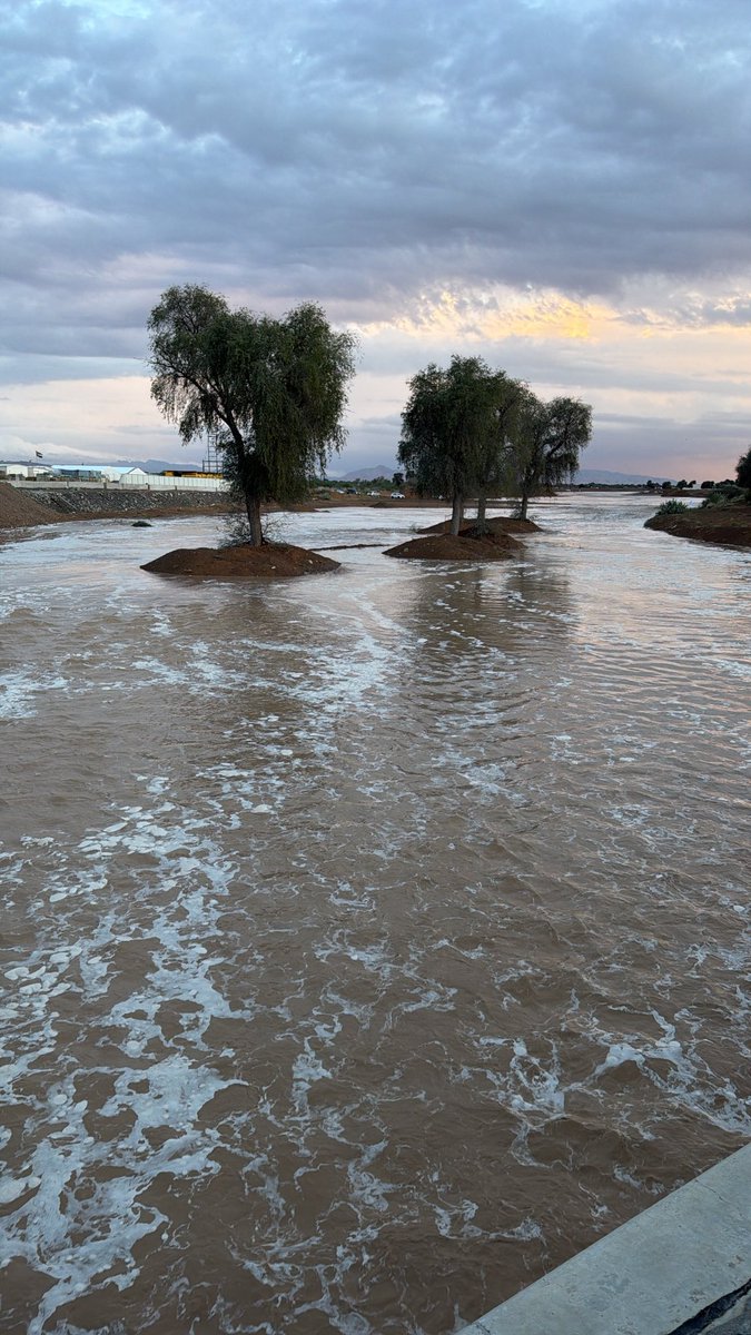 𝐌 𝐁 tweet media