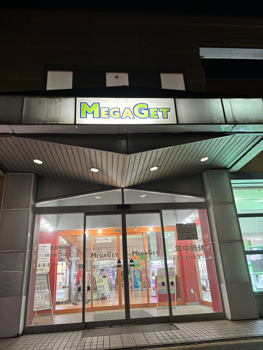 しぐまむ tweet media