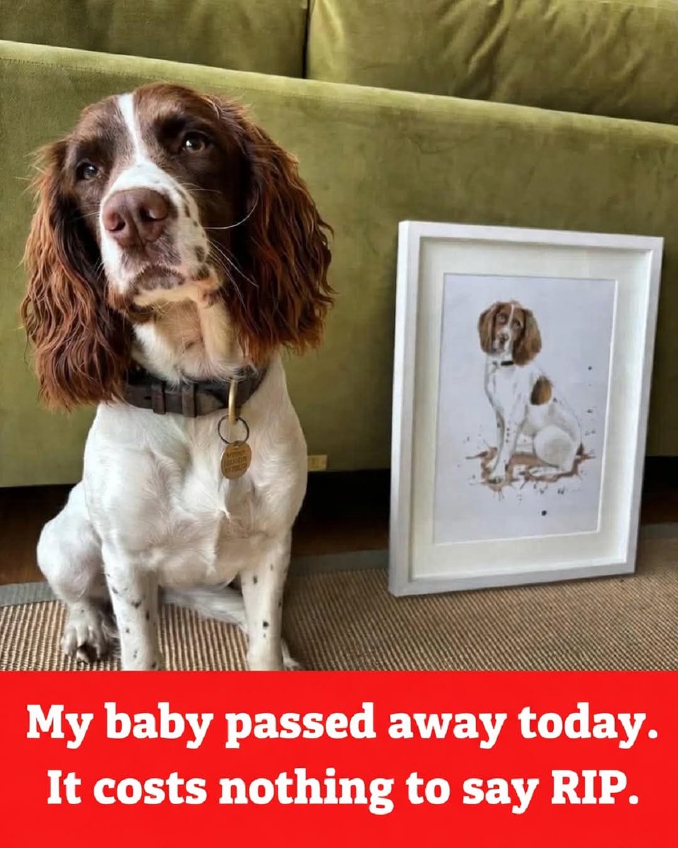 Sonia ❤️ tweet media