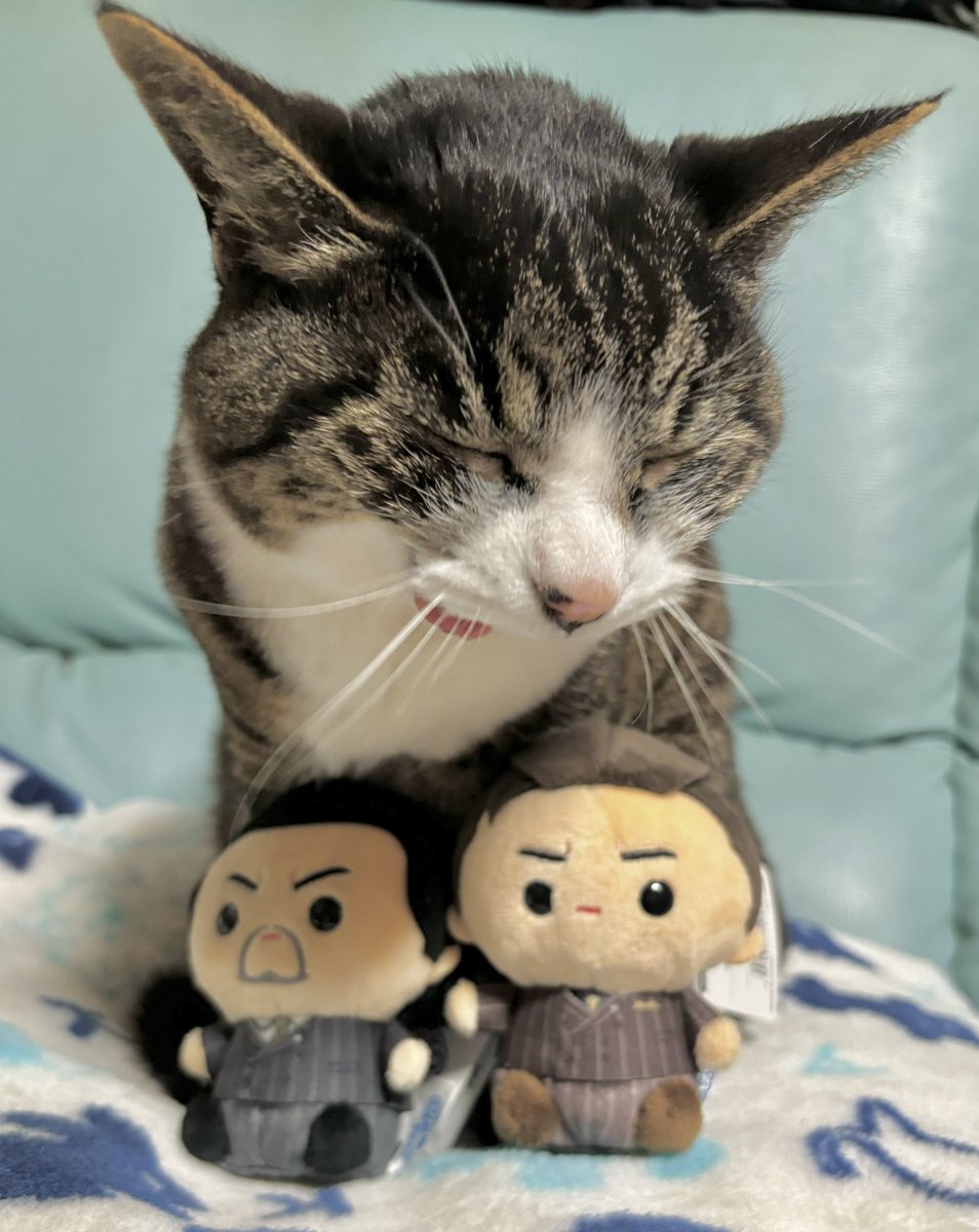 茶菓子@📚予約受付中 tweet media