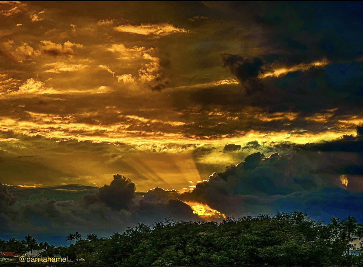 Danita Hamel tweet media