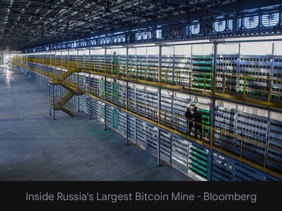 🅻🅾️🅽🅶🆂🅷🅾️🆃》🎯 tweet media