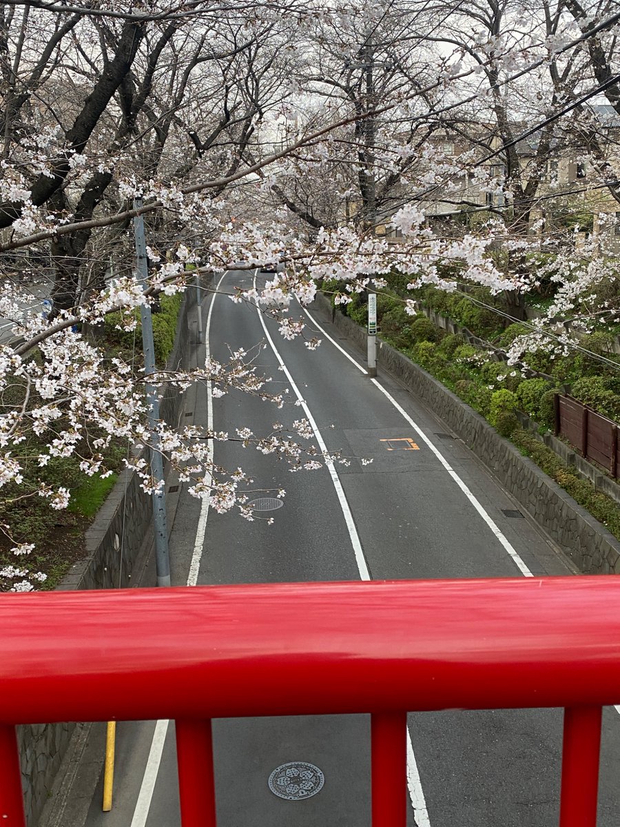 空太郎 tweet media