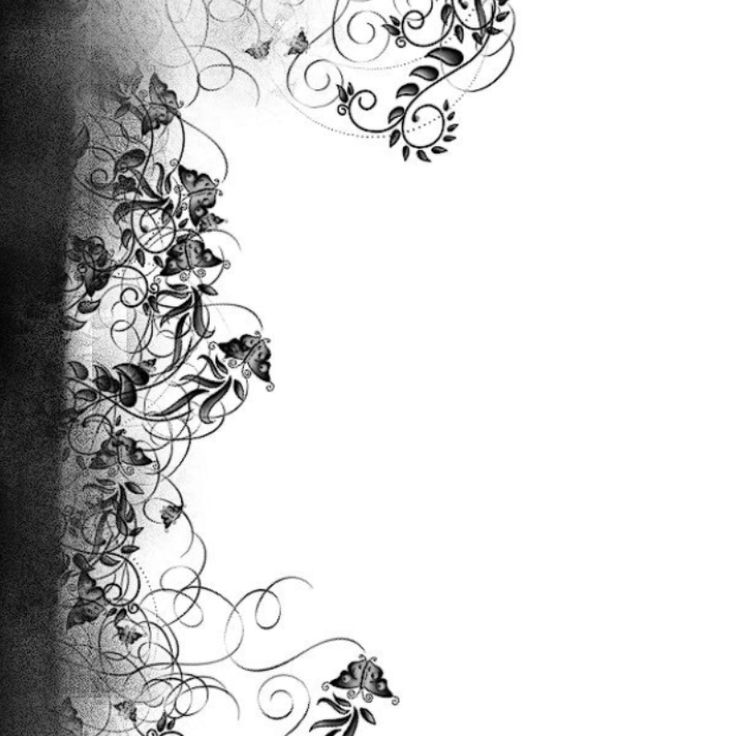 𝐾aoru (≧□≦) Rui's Angel 🪽 tweet media