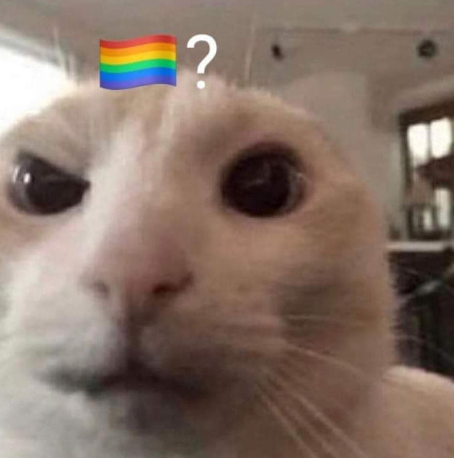 Vanished tweet media