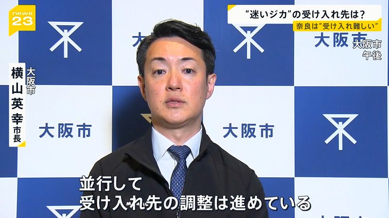 ゆるふわ怪電波☆埼玉 tweet media