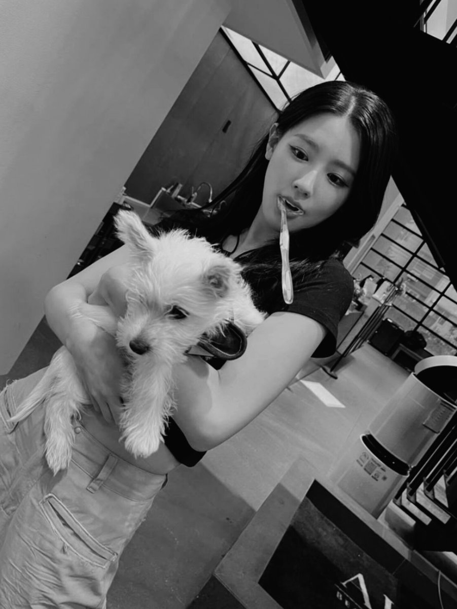 𝖬𝖤𝖫𝖮𝖣𝖸 𝖸𝖨. tweet media