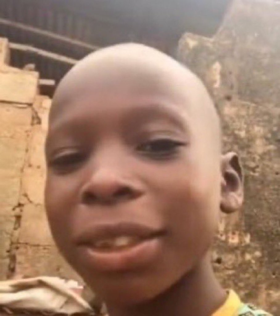 knowledge tweet media